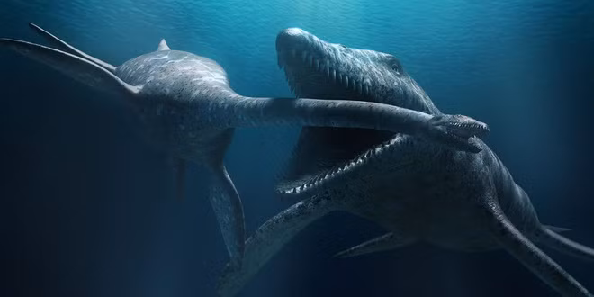 10. "Ông vua biển cả" Liopleurodon. Liopleurodon là vua của những sinh vật biển sống ở kỉ Jura muộn. Chúng còn được biết đến với cái tên Predator X.