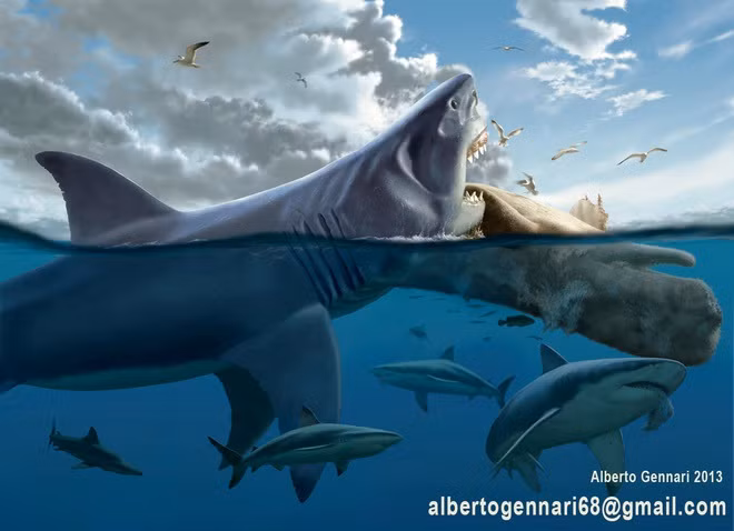 1. Cá mập Megalodon. Cá Mập Megalodon có thể tích như một con tàu ngầm, nặng lên đến 50- 60 tấn là sát thủ kinh hoàng bậc nhất dưới đại dương cổ đại. Với sự thông minh và cấu tạo cơ thể được sinh ra để trở thành quái vật thống trị đại dương, Megalodon gần như không có đối thủ.
