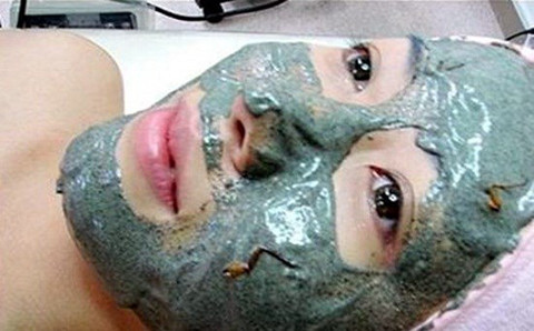 Làm đẹp bằng gián đất chứa nhiều ẩn họa.