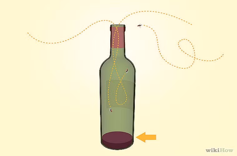  8. Sử dụng rượu vang để bẫy ruồi Một chút rượu vang còn lại dưới đáy chai sẽ là mồi câu lý tưởng bởi chúng rất "mê" mùi rượu. Ruồi bay vào chai và bị mắc kẹt ở đó bởi nút cổ chai. Bạn có thể thay rượu bằng soda hoặc bia, hai loại nước uống này rất hấp dẫn ruồi giấm. 