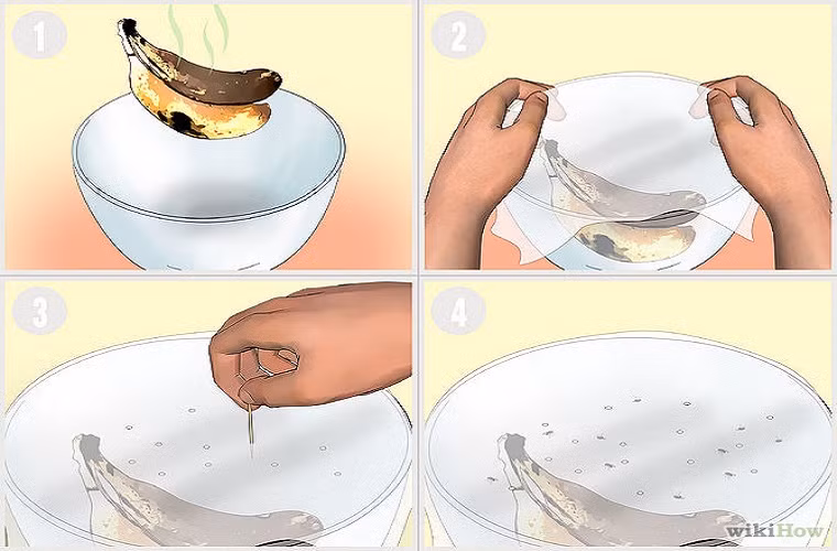  9. Tận dụng trái cây còn thừa Một số hoa quả còn thừa hoặc đã hỏng, bạn đừng nên vứt chúng đi ngay mà hãy tận dụng, đặt chúng trong chiếc bát, căng miếng nilon (hoặc nhựa) lên miệng bát (miếng nhựa này có nhiều lỗ nhỏ mà ruồi giấm có thể chui lọt). Ruồi sẽ chui vào bát theo mùi trái cây mà không thể chui ra .