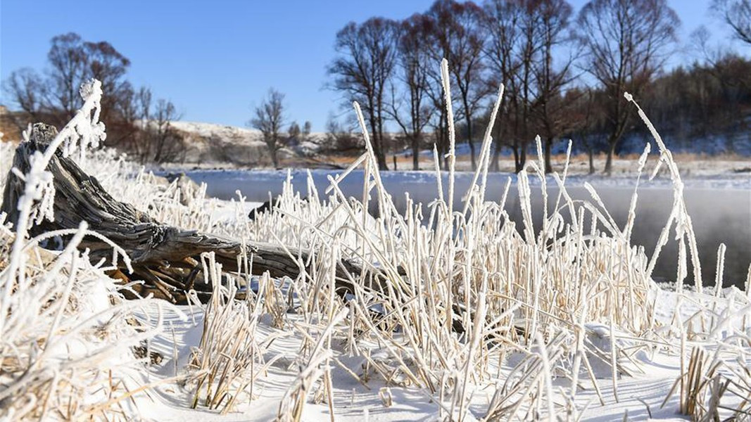 Dù cho mọi thứ xung quanh đóng băng, bao phủ bởi tuyết trắng. Theo Chinadaily.