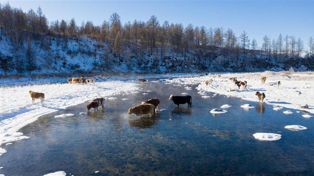 Do đó, sông Khalkh Gol còn được gọi là " dòng sông không bao giờ đóng băng". Theo Chinadaily.