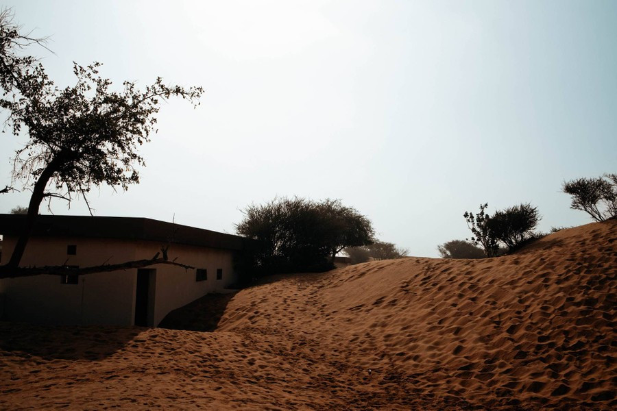 Song khả năng xảy ra ảo ảnh ở mức quá thường xuyên như vậy là rất thấp. Do đó, giả thuyết này cũng khó được chấp nhận.