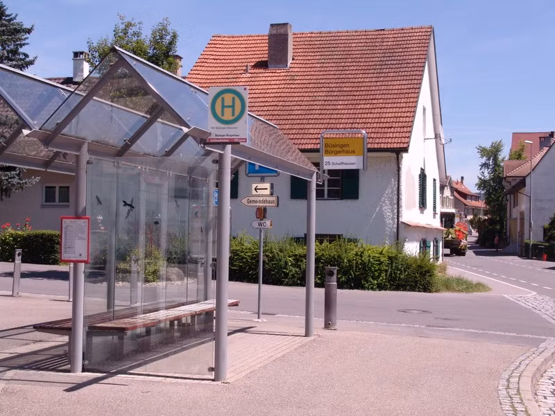 Bên cạnh đó, người dân ở đây sử dụng cả hai số điện thoại của hai quốc gia. Theo Bodenseewes.