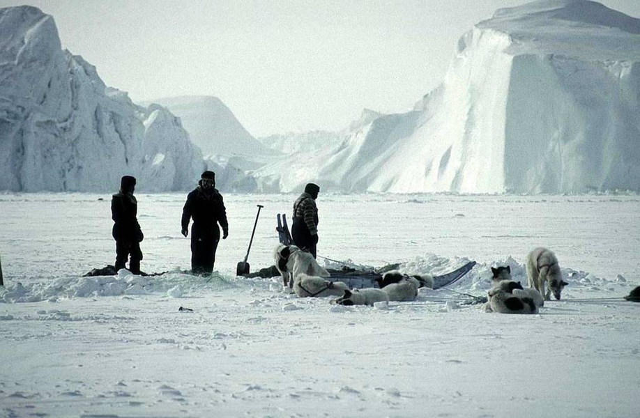 Bằng các vũ khí thô sơ như giáo, móc, lao, cung tên. Đàn ông Eskimo săn hải cẩu, cá voi, câu cá vào mùa đông và săn tuần lộc, gấu Bắc cực vào mùa hè.