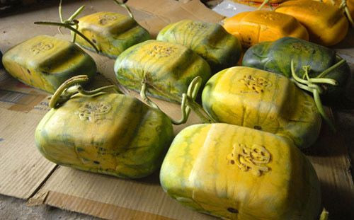 Ngoài ra, dưa hấu còn được tạo hình ô tô với giá siêu đắt đỏ 8 - 10 triệu đồng/cặp.