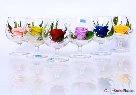 Những bông hoa hồng này là hoa thật 100%, được xử lý theo công nghệ ướp hoa của Nhật Bản và có thể tươi lâu trong nhiều năm (1-3 năm). Tuy nhiên, giá của chúng lại rất dễ chịu, khoảng 150 nghìn đồng/sản phẩm.