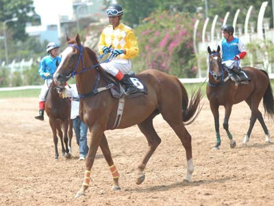 Ảnh minh họa: Internet.