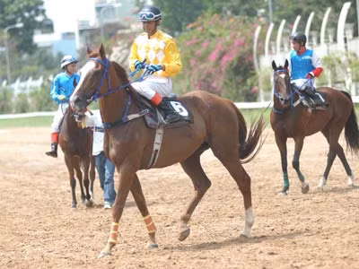 Ảnh minh họa: Internet.