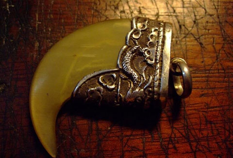 Tuy nhiên, những người trẻ tuổi đặc biệt là dân kinh doanh lại thích chơi móng hổ hơn nanh hổ bởi lẽ theo họ, những người sở hữu móng hổ sẽ nắm bắt được cơ hội kinh doanh và chiến thắng trong thương trường cũng như cuộc sống. Hơn nữa, đeo móng hổ ngoài việc đem lại cho người đeo một phong cách cực ngầu, sang trọng còn giúp chủ nhân tránh bị tà đạo, ma quỷ làm hại.