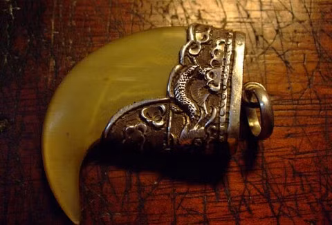 Tuy nhiên, những người trẻ tuổi đặc biệt là dân kinh doanh lại thích chơi móng hổ hơn nanh hổ bởi lẽ theo họ, những người sở hữu móng hổ sẽ nắm bắt được cơ hội kinh doanh và chiến thắng trong thương trường cũng như cuộc sống. Hơn nữa, đeo móng hổ ngoài việc đem lại cho người đeo một phong cách cực ngầu, sang trọng còn giúp chủ nhân tránh bị tà đạo, ma quỷ làm hại.