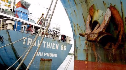 Hiện tại, có 2 tàu Trãi Thiên 86 và Trãi Thiên 68 neo đậu tại Cảng để bão dưỡng, nhưng đến nay chưa hoàn thành.