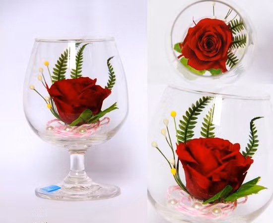 Hoa luôn là món quà tặng chứa đựng nhiều ý nghĩa. Nhiều hãng sản xuất luôn tung ra thị trường những sản phẩm độc đáo từ hoa. "Hoa hồng bất tử trong ly rượu" là một món quà như vậy.