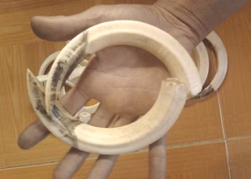 Trong các loại nanh vuốt của thú dữ thì nanh lợn rừng đang được mua bán phổ biến nhất. Nhiều người cho rằng, đeo nanh lợn rừng trên người sẽ giúp chủ nhân thâu tóm được vận may, tránh được tà ma, bệnh tật. Hơn nữa, loại nanh này dễ kiếm nên đa phần là hàng thật chứ không bị làm giả như các loại nanh khác.