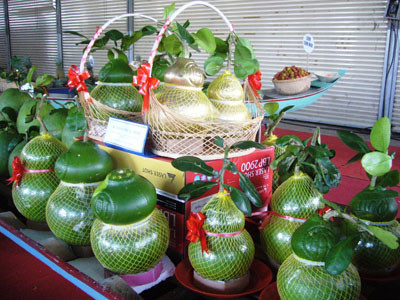 Bên cạnh những loại hoa quả bình thường thì hoa quả tài lộc cũng được nhiều người chọn mua. Những loại hoa quả mới của năm nay sẽ tăng thêm sự phong phú cho khách lựa chọn.