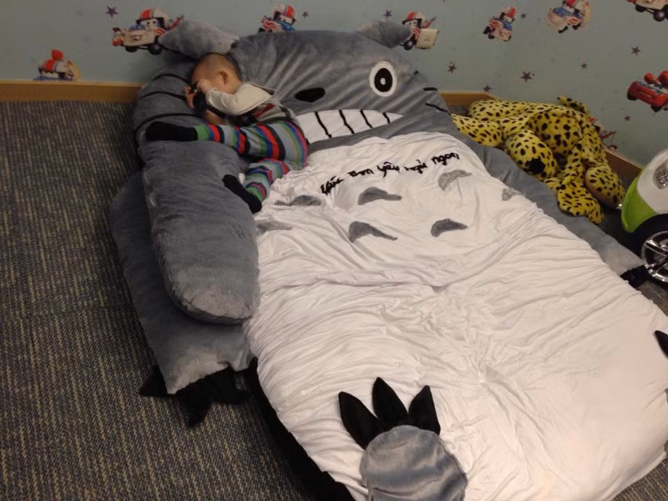 Điểm ưu việt khác của giường thú bông đó là: Bông dùng lâu ngày bị nén lại chỉ cần bỏ vào túi giặt quay trong máy là bông lại như mới. Thú cũng có thể lột ra và giặt sạch sẽ.