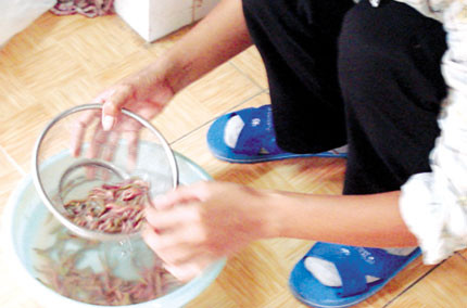 Những người có tiền sử dị ứng với một số thức ăn giàu đạm như hải sản thì nên thận trọng với rươi.