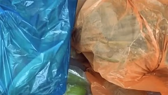 Cho tui nilon dung rau cu vao tu lanh tuong duong voi tu tu va ung thu?-Hinh-3