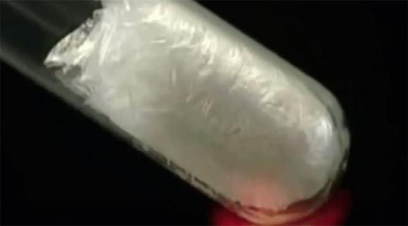 Cho tui nilon dung rau cu vao tu lanh tuong duong voi tu tu va ung thu?