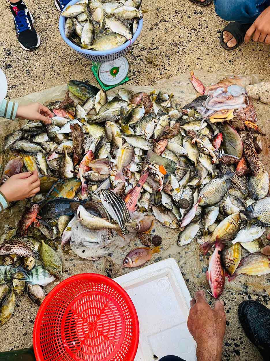 Kham pha Ba Lang An, vung bien yen binh o Quang Ngai-Hinh-3