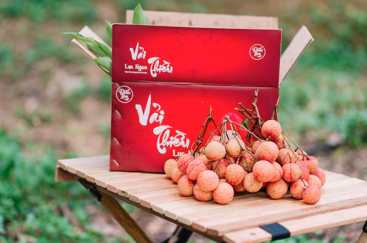 Ban tam chan tinh trong tung qua vai, ca doi trong cay chua ai ngo-Hinh-2