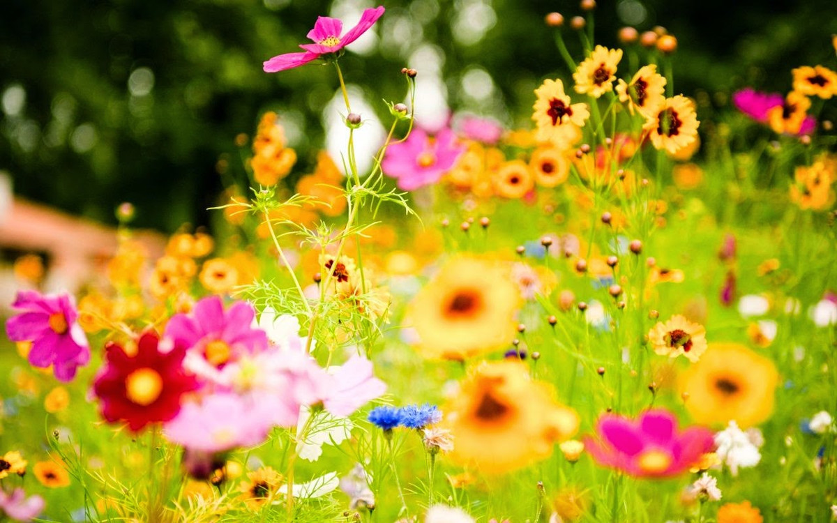 3 con giap dam dung cam duong dau, lam dau thang do-Hinh-2