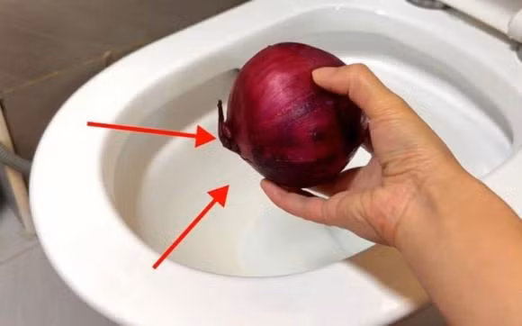 Cu hanh tay se giai quyet bon cau co mui hoi kho chiu