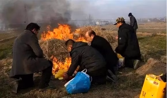 Tai sao nguoi ta dot quan ao sau khi chet?-Hinh-7