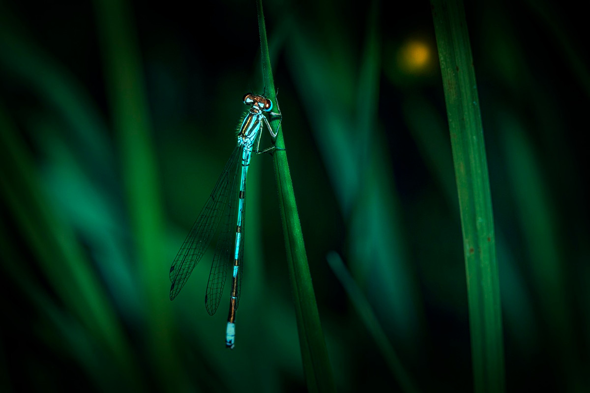 Ai co gio sinh nay tinh tinh tot, thang 6 thuan buom xuoi gio