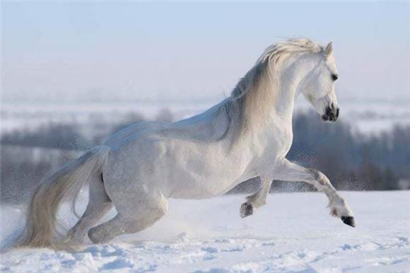 Sau ngay 15, tai loc cua 4 con giap se un un keo den-Hinh-4