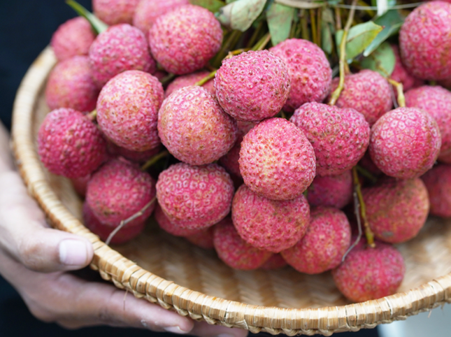 Giat minh voi gia vai thieu o TPHCM-Hinh-5