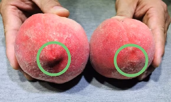 Dao co ngot hay khong, ban co the xem tai day?-Hinh-5