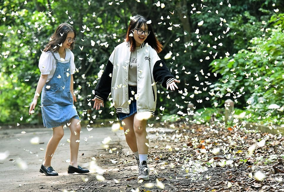 Me man check-in cung hang trieu canh buom sac so o rung Cuc Phuong-Hinh-6