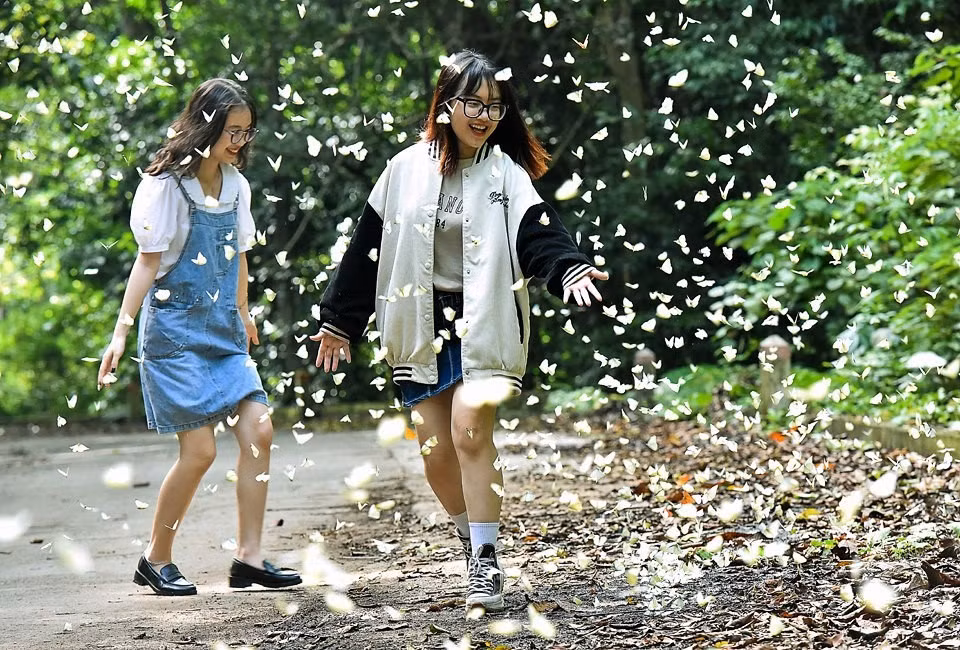 Me man check-in cung hang trieu canh buom sac so o rung Cuc Phuong-Hinh-6