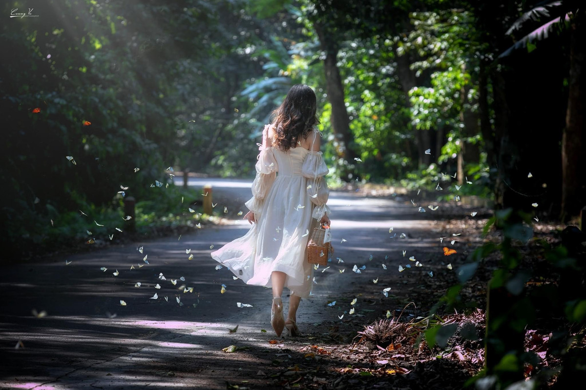 Me man check-in cung hang trieu canh buom sac so o rung Cuc Phuong-Hinh-4