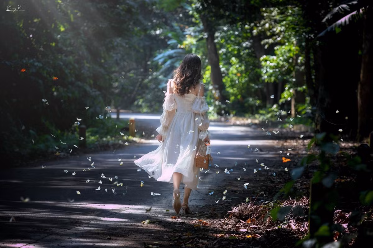 Me man check-in cung hang trieu canh buom sac so o rung Cuc Phuong-Hinh-4