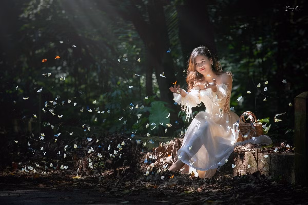 Me man check-in cung hang trieu canh buom sac so o rung Cuc Phuong-Hinh-2