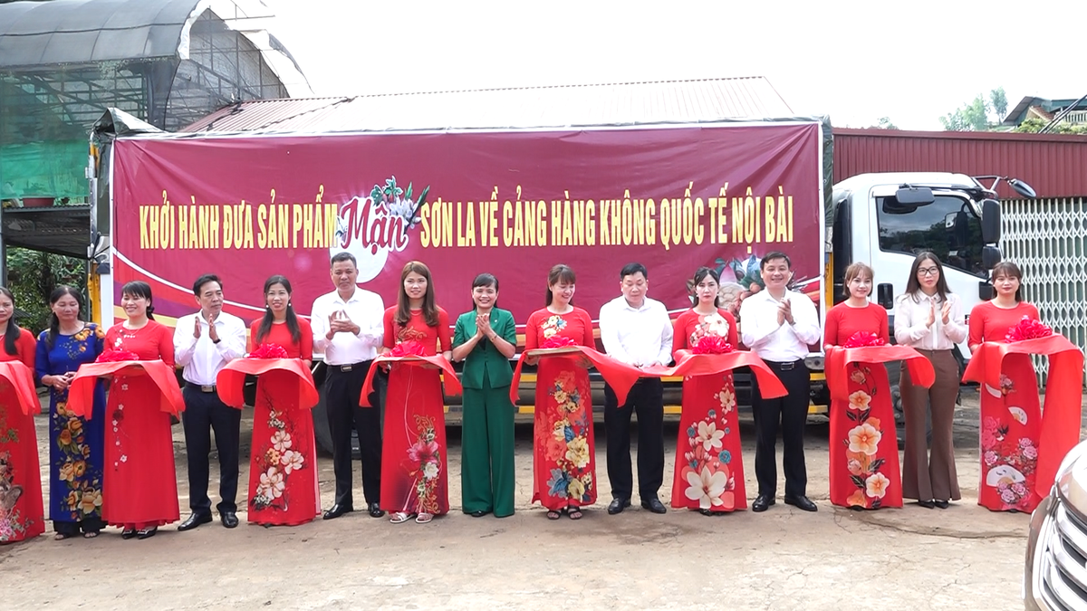 Man hau Son La duoc dua vao suat an cua Vietnam Airlines