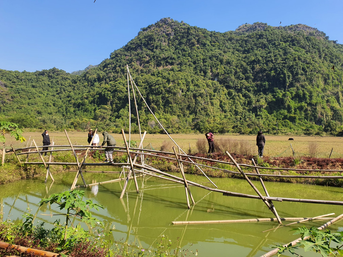 Ngoi lang xanh mat tram nam tuoi o Hai Phong-Hinh-3