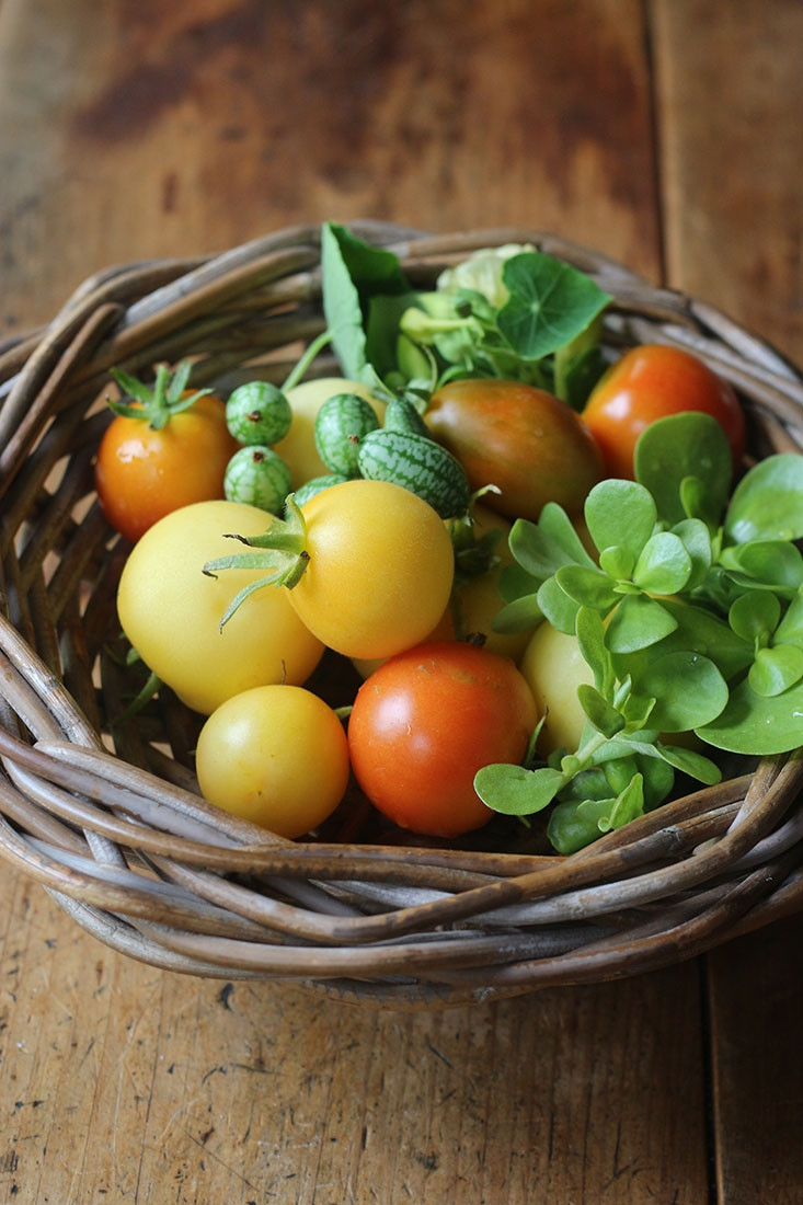 Khu vuon ngap hoa cua cu ba 83 tuoi da danh 33 nam de cham soc-Hinh-6