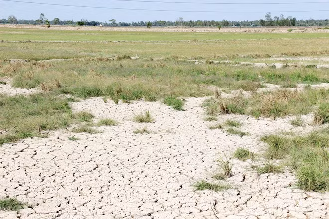 Nuoc ngot tu thuong nguon da ve cuu han man mien Tay