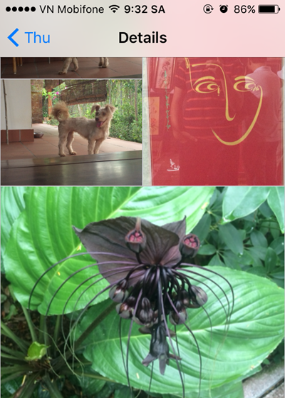  Xem tất cả ảnh bạn và ai đó đã nhắn cho nhau Rất dễ để duyệt lại tất cả ảnh và video mà bạn và ai đó đã nhắn tin cho nhau bằng iMessage. Bạn chỉ việc truy cập ứng dụng “Messages”, mở xem chuỗi tin nhắn giữa hai bên đã gửi cho nhau, rồi nhấn vào nút Details ở góc trên bên phải màn hình là xong.