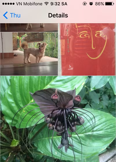  Xem tất cả ảnh bạn và ai đó đã nhắn cho nhau Rất dễ để duyệt lại tất cả ảnh và video mà bạn và ai đó đã nhắn tin cho nhau bằng iMessage. Bạn chỉ việc truy cập ứng dụng “Messages”, mở xem chuỗi tin nhắn giữa hai bên đã gửi cho nhau, rồi nhấn vào nút Details ở góc trên bên phải màn hình là xong.