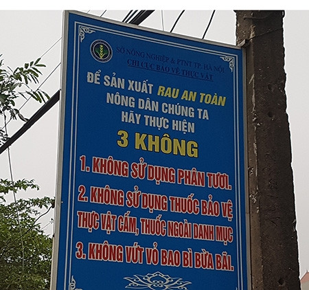 Sự thật khủng khiếp ở vựa rau an toàn cung ứng cho Hà Nội - Hình 2 Su that khung khiep o vua rau an toan cung ung cho Ha Noi-Hinh-2