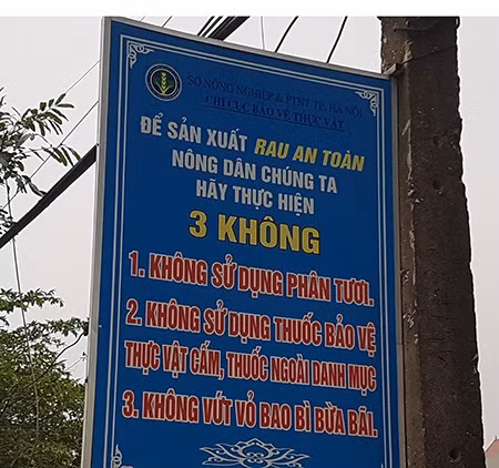 Sự thật khủng khiếp ở vựa rau an toàn cung ứng cho Hà Nội - Hình 2 Su that khung khiep o vua rau an toan cung ung cho Ha Noi-Hinh-2