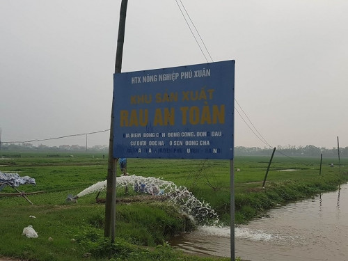 Sự thật khủng khiếp ở vựa rau an toàn cung ứng cho Hà Nội - Hình 3 Su that khung khiep o vua rau an toan cung ung cho Ha Noi-Hinh-3