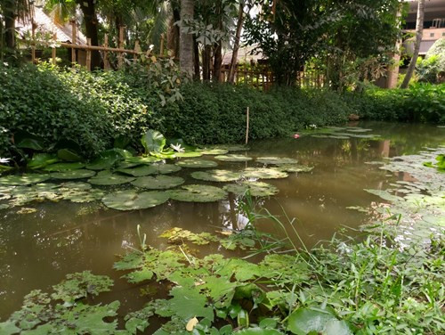 Theo giải thích từ đại diện cấp cao của nMobiistar, sở dĩ họ phải dời kế hoạch ra mắt chiếc smartphone này như từng tuyên bố trước đây là vì cần thêm thời gian để tối ưu phần mềm chụp ảnh cũng như tinh chỉnh camera cho PRIME X Max.