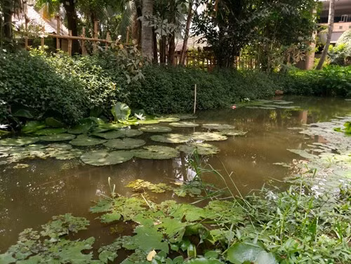 Theo giải thích từ đại diện cấp cao của nMobiistar, sở dĩ họ phải dời kế hoạch ra mắt chiếc smartphone này như từng tuyên bố trước đây là vì cần thêm thời gian để tối ưu phần mềm chụp ảnh cũng như tinh chỉnh camera cho PRIME X Max.