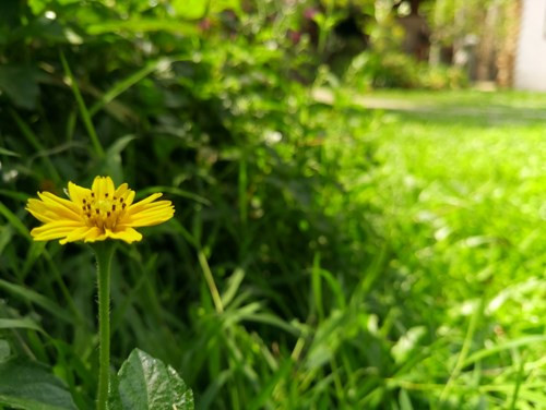 Tuy nhiên, đến hôm 13/4, Mobiistar mới chính thức tuyên bố sẽ bắt đầu cho đặt hàng PRIME X Max (6,99 triệu đồng) từ ngày 19/4 đến hết ngày 22/4/2016 với nhiều ưu đãi hấp dẫn.